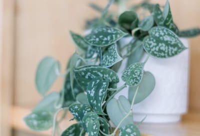 home-staging_84