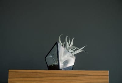 home-staging_87