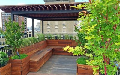 Grow Your Business with Rooftop Gardening